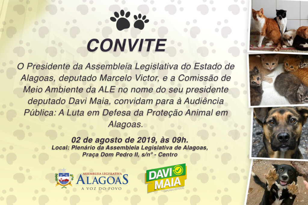 Audiência Pública