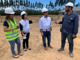 Read more about the article Davi Maia acompanha destinação do petróleo recolhido de praias