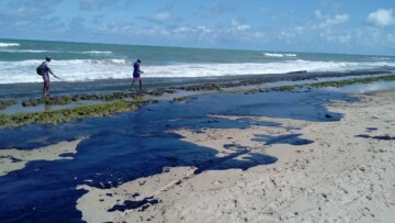 Read more about the article Assembleia discute derramamento de óleo nas praias do Nordeste
