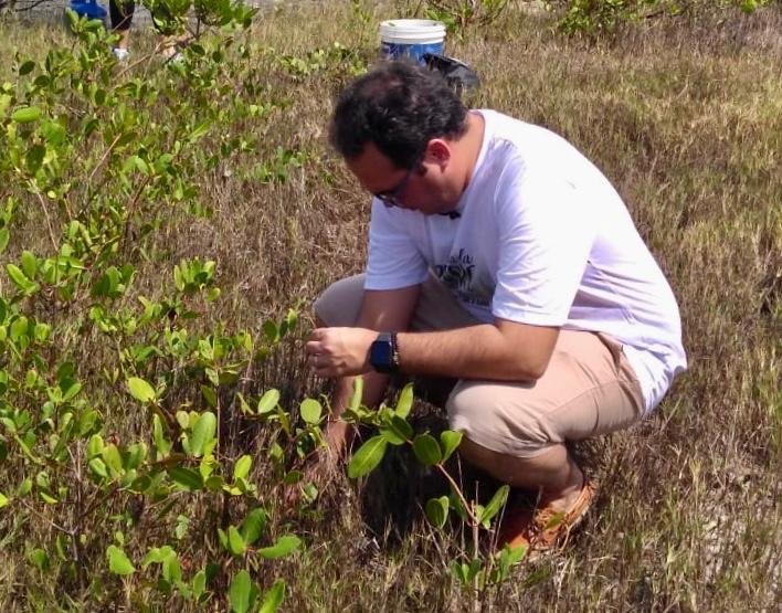 You are currently viewing Dia da Árvore: Davi Maia realiza plantio de mais de 1000 mudas de mangue