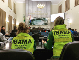 Read more about the article Audiência Pública debate óleos nas praias
